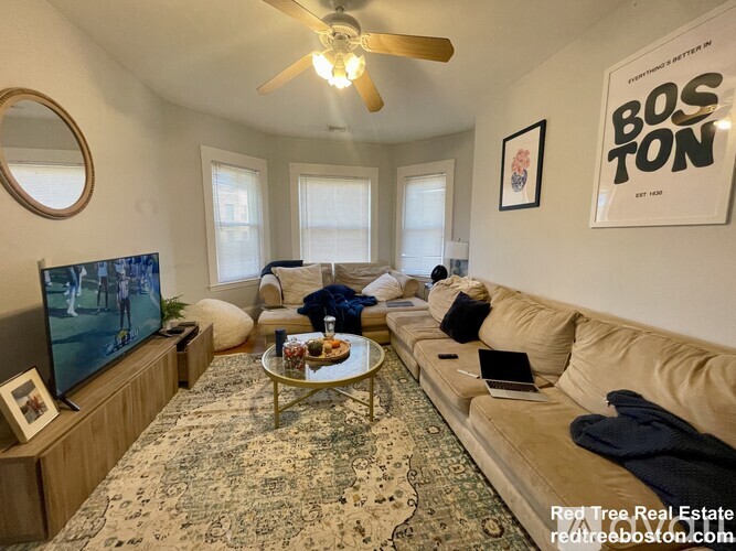 209 Chestnut Hill Ave 4 Beds Apartment for Rent - Photo gallery 1
