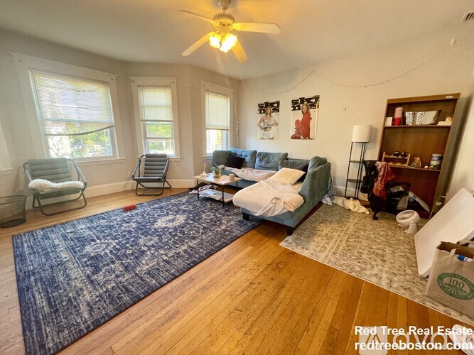 209 Chestnut Hill Ave 4 Beds Apartment for Rent - Photo gallery 3