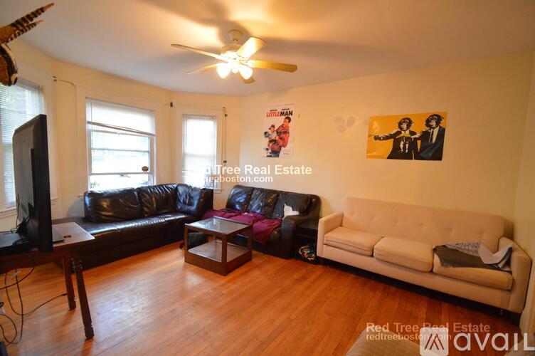 209 Chestnut Hill Ave 4 Beds Apartment for Rent - Photo gallery 4