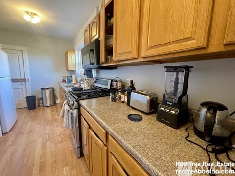 209 Chestnut Hill Ave 4 Beds Apartment for Rent