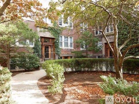 A tree in front of a brick building with a sign that says "rental".