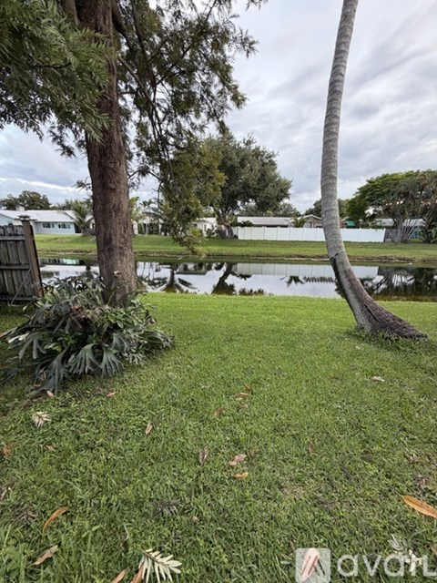 A tree stands in a grassy area next to a body of water.