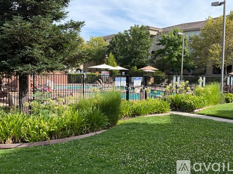 A grassy area with a pool and trees in the background.