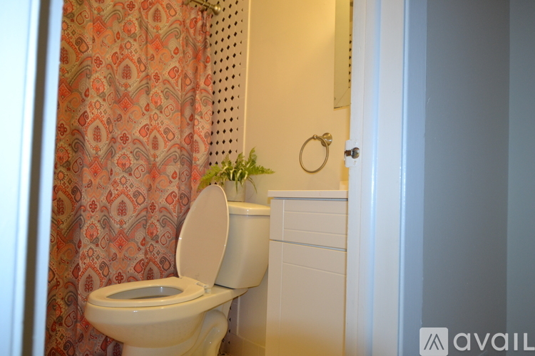 1136 Pine St 1 Apartment for Rent - Photo gallery 5