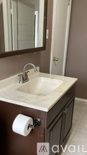 A bathroom sink with a roll of toilet paper on the wall.