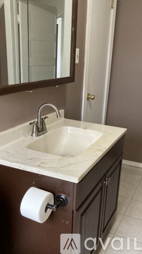 A bathroom sink with a roll of toilet paper on the wall.