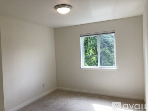 A room with a window and a carpeted floor.