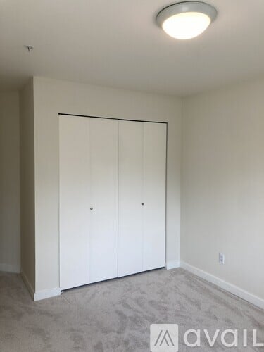 A room with a carpeted floor and a white closet with a door.