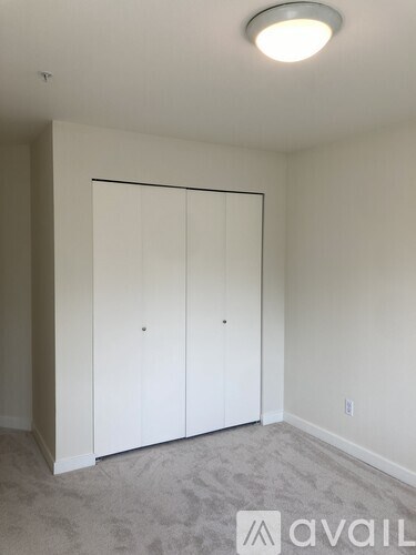 A room with a carpeted floor and a white closet with a door.
