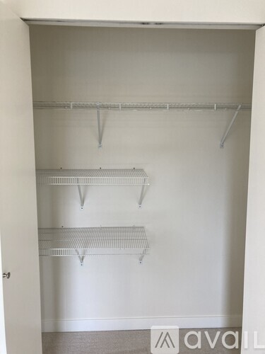 Empty white closet with shelves and a door.