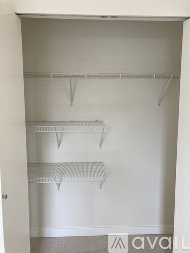 Empty white closet with shelves and a door.