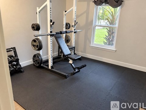 A home gym with a squat rack, barbell, and weight plates.