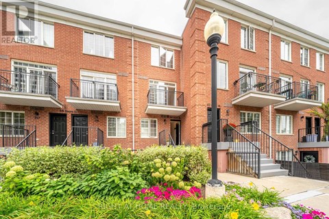 255 - 64 DOURO STREET 1 Apartment for Rent