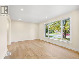A room with a window showing a view of a street with cars and trees.