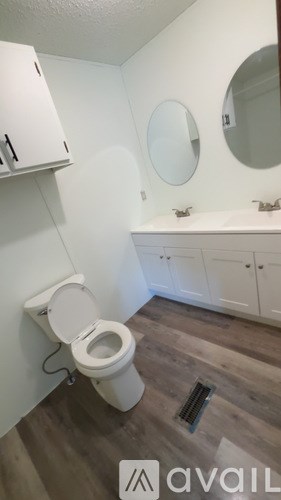 A white toilet in a bathroom with wood flooring and white walls.