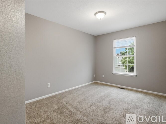 A room with a carpeted floor and a window showing trees outside.