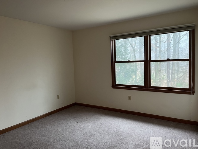 A room with a carpeted floor and a window showing trees outside.