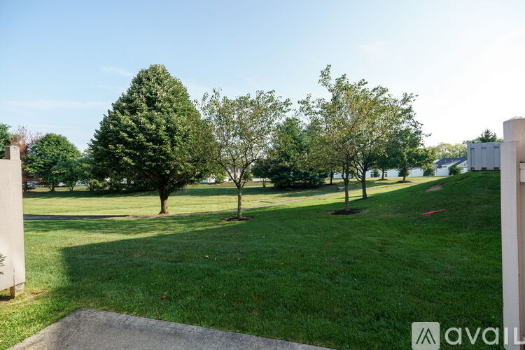 A grassy area with trees and a building in the background.