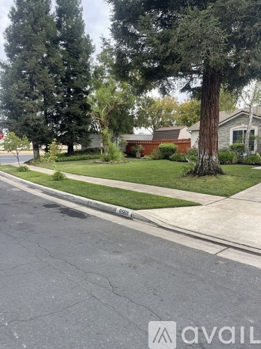 A tree in front of a house.