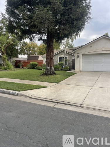 A tree in front of a house with a garage door.
