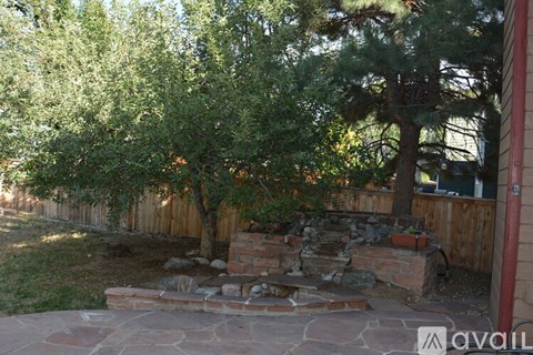 A backyard with a stone pathway and a tree.