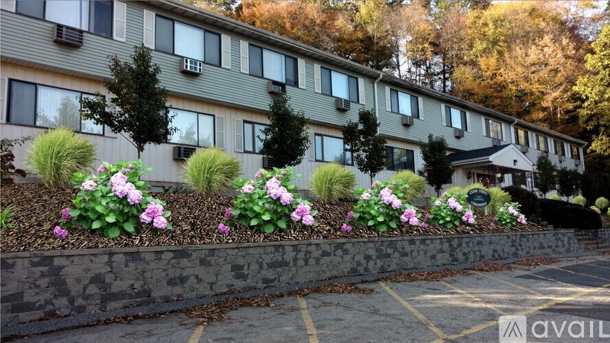 210 Cedar St Studio Apartment for Rent - Photo gallery 1