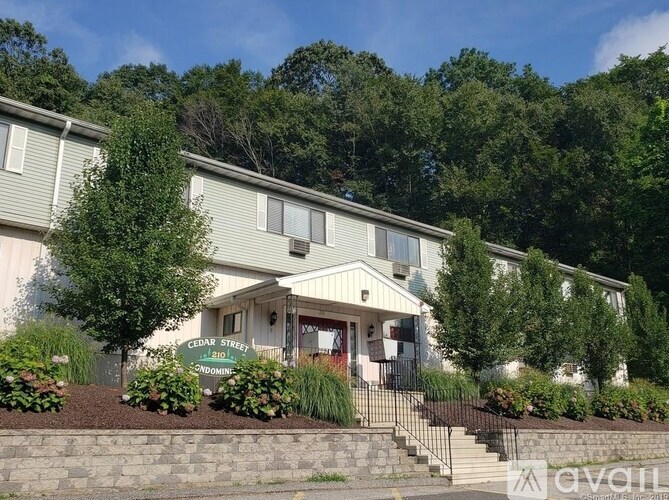 210 Cedar St Studio Apartment for Rent - Photo gallery 2