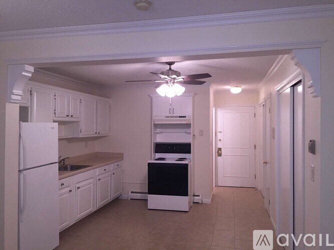 210 Cedar St Studio Apartment for Rent - Photo gallery 4