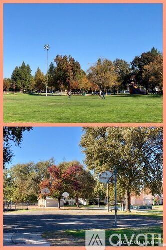 A park with trees and a street sign.