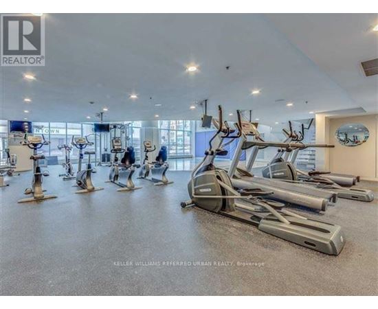 A gym with a row of treadmills and elliptical machines.