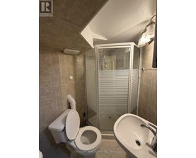 A bathroom with a toilet, sink, and shower.