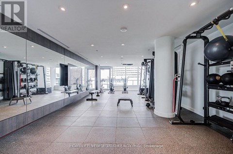 A gym with a variety of equipment including a squat rack, bench, and weights.