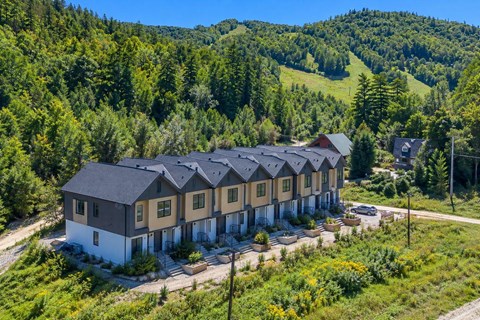 A row of houses with a forest in the background.