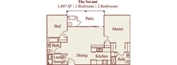 Savant