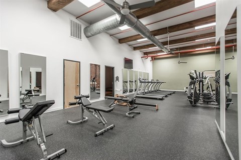 A gym with a variety of equipment including treadmills, weights, and a bench press.