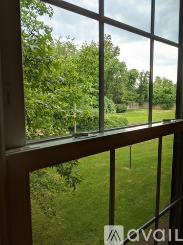 A window with a view of a green lawn and trees.