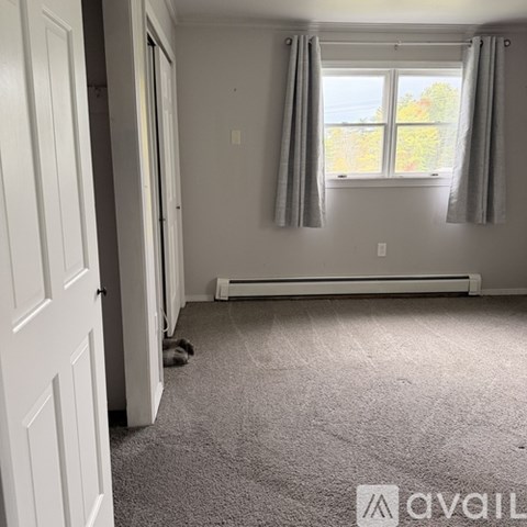 A room with a carpeted floor, a window with curtains, and a door.