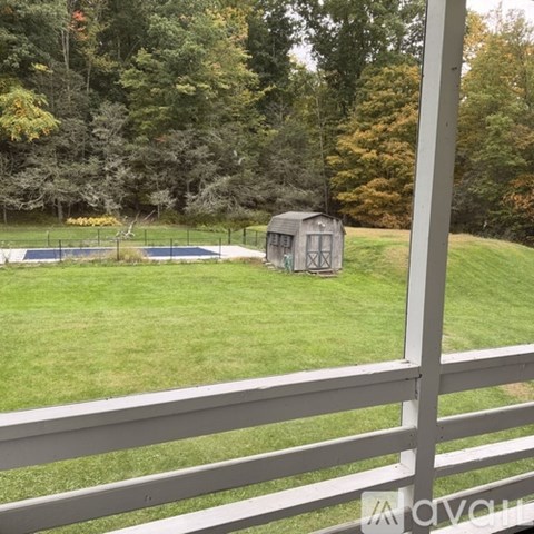 A backyard with a pool and a shed.