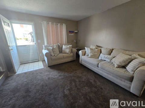 A living room with a grey carpet and two couches.