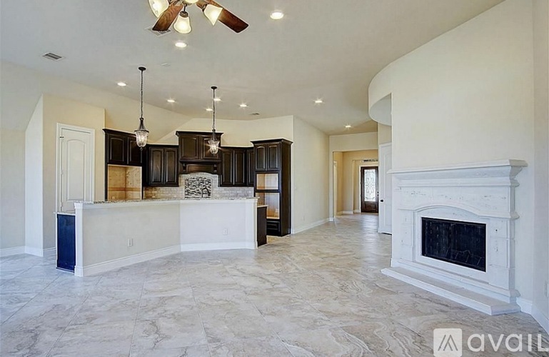 29314 Wood Lily Drive 4 Beds Single Family Home for Rent - Photo gallery 3