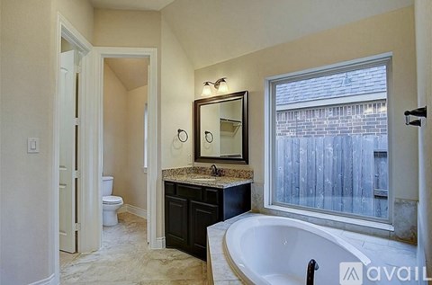 29314 Wood Lily Drive 4 Beds Apartment for Rent