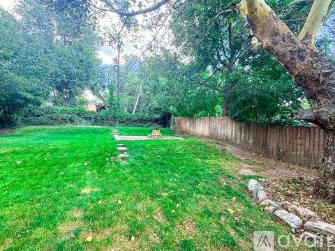 A backyard with a wooden fence and a tree branch hanging over the grass.