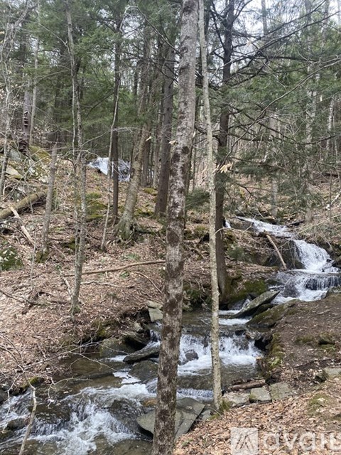 A small waterfall flows through a forest of bare trees.