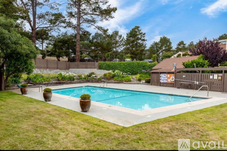 A pool surrounded by a green lawn and trees.