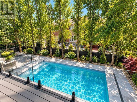 A pool surrounded by trees and plants.