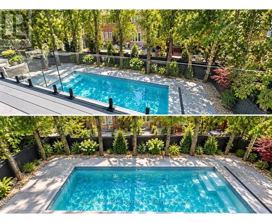 A pool surrounded by trees and plants.