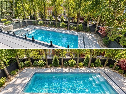 A pool surrounded by trees and plants.