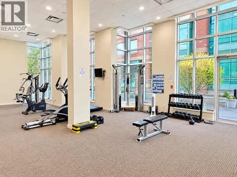 A gym with treadmills, weights, and exercise equipment.
