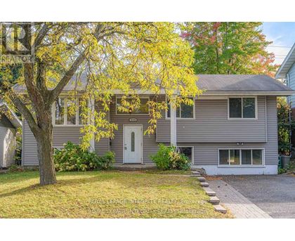 A house with a grey facade and a white door is surrounded by a yellow tree.