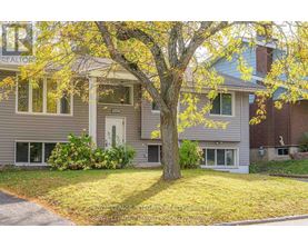 A tree with yellow leaves is in front of a grey house.